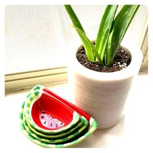 Watermelon Measuring Cups (Set of 4)